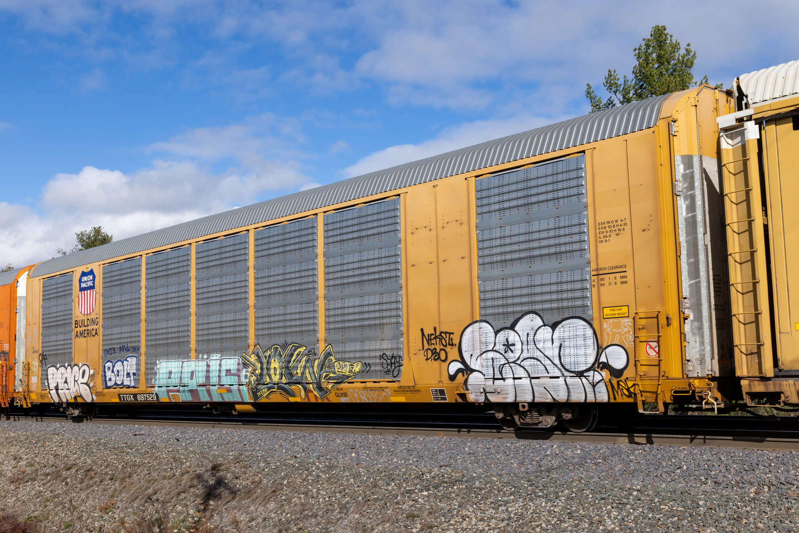 TTGX 697529