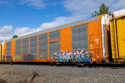 TTGX
