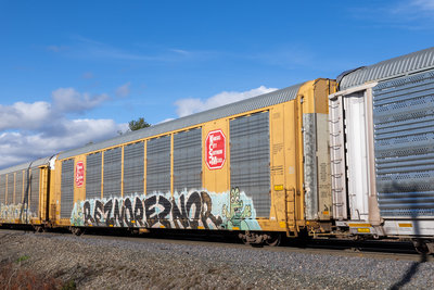 TTGX