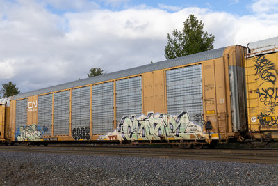 TTGX