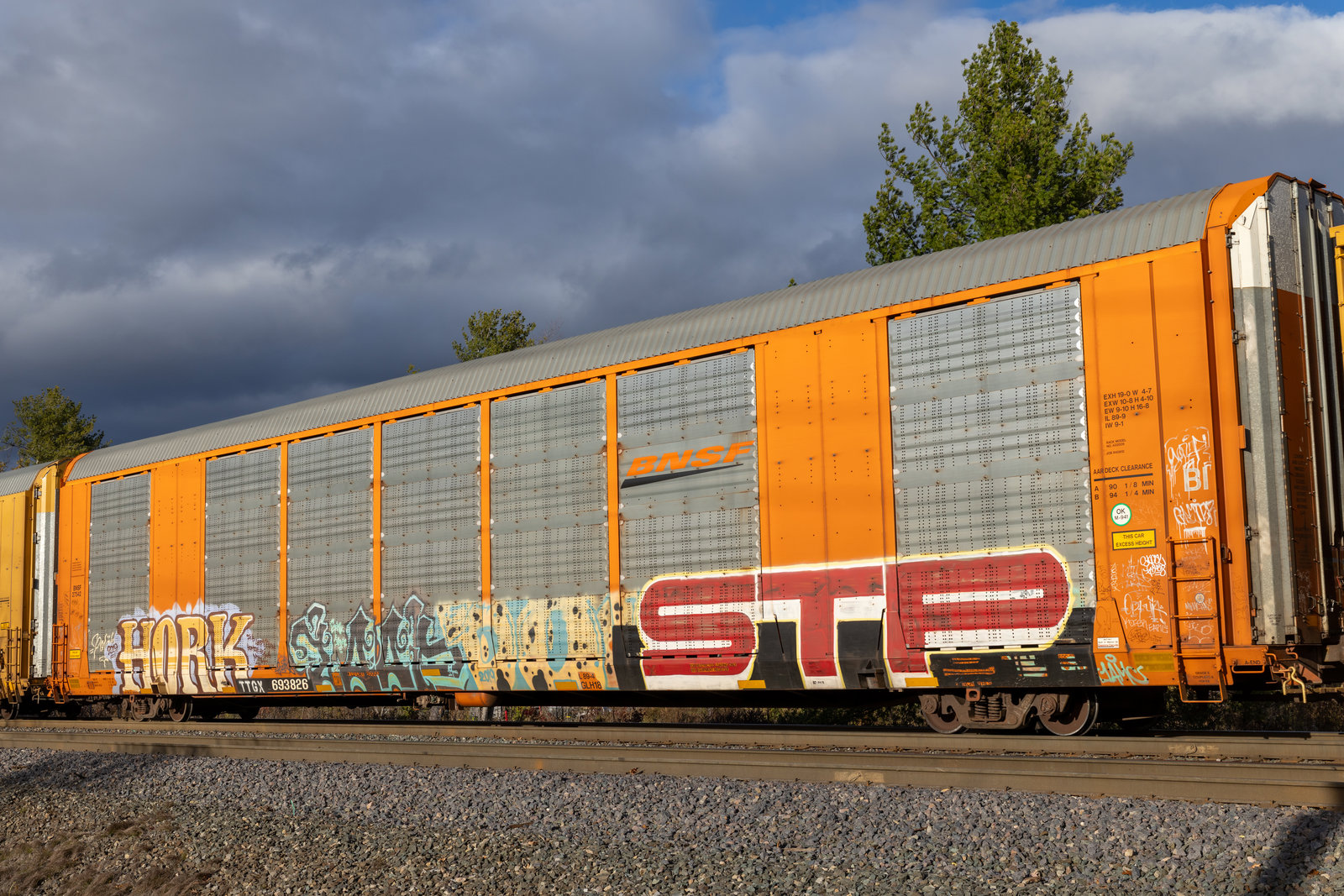TTGX 693826