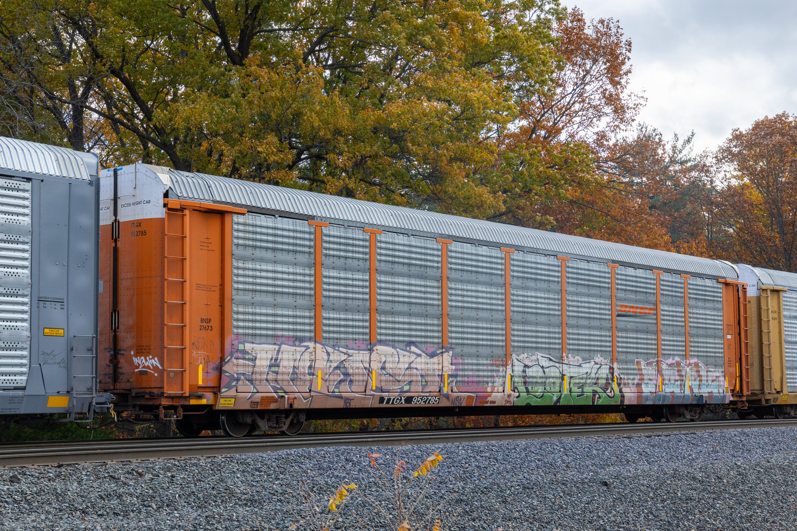 TTGX 952785