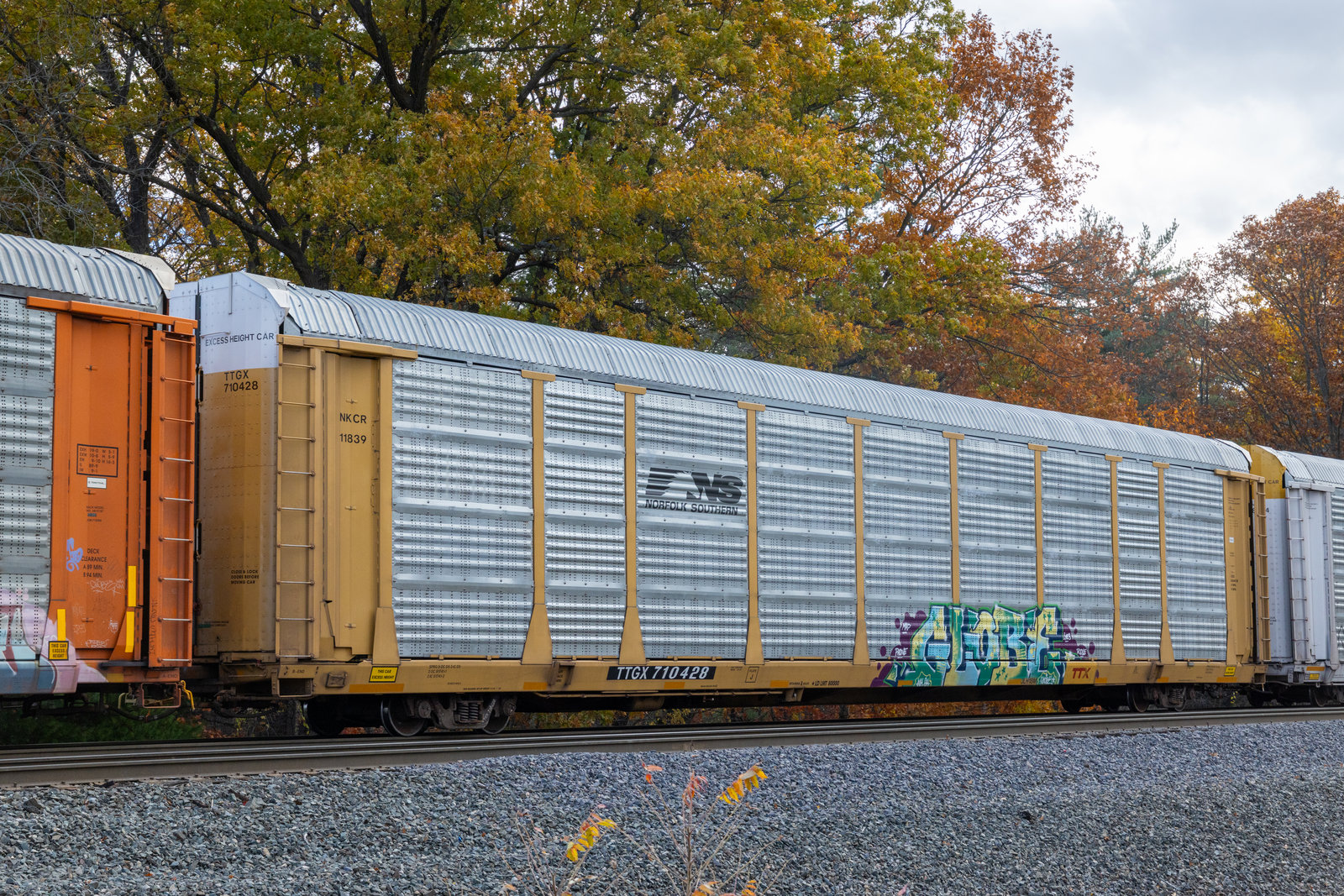 TTGX 710428