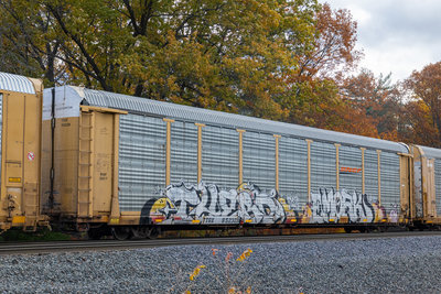 TTGX 952328
