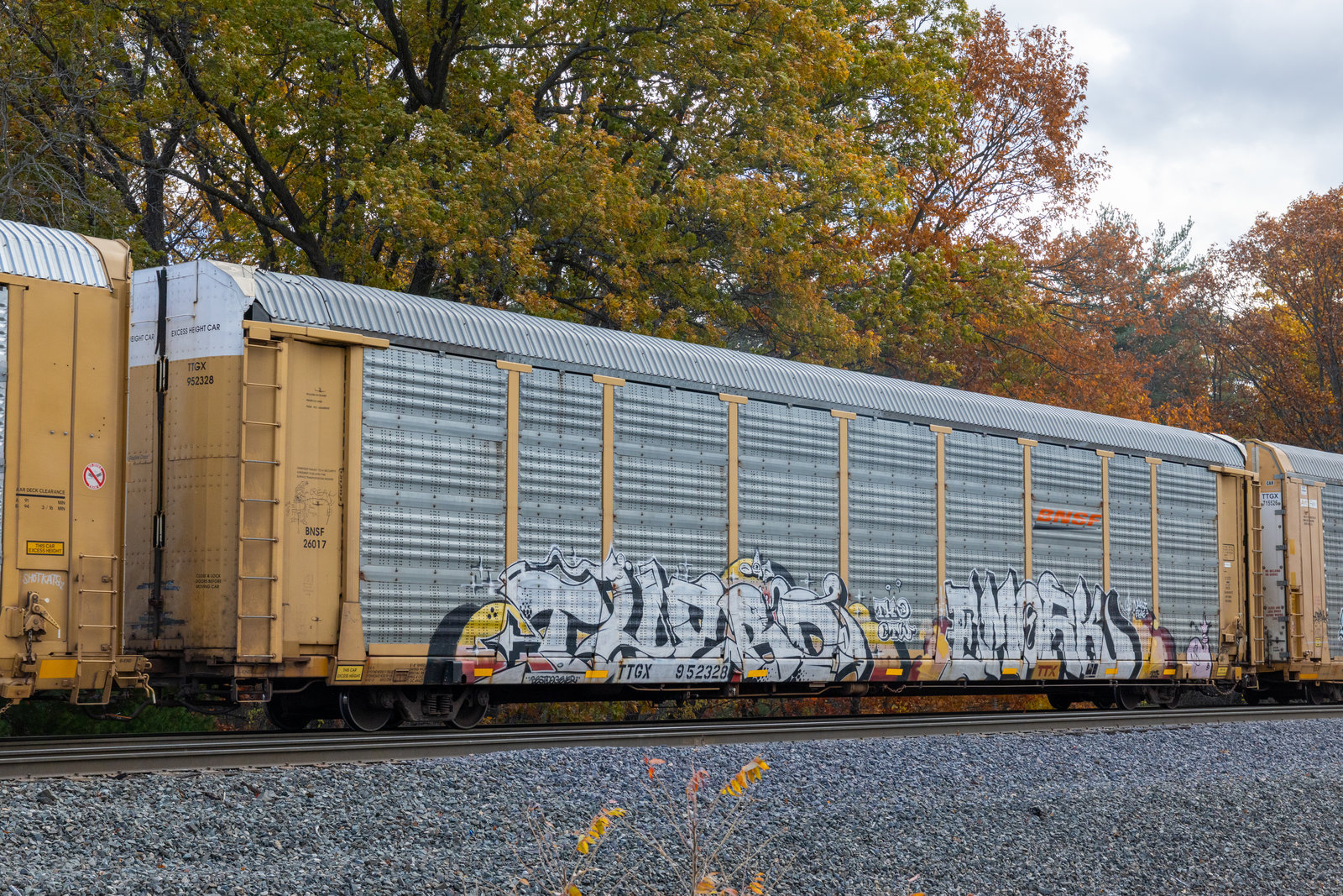 TTGX 952328