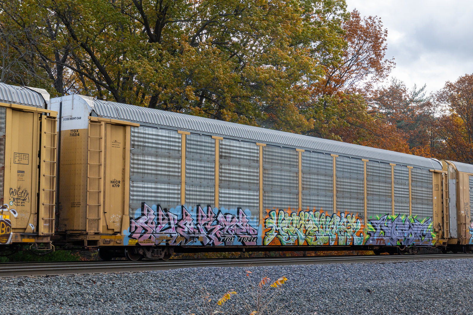 TTGX 710214
