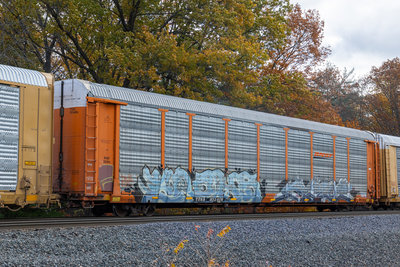 TTGX 953406