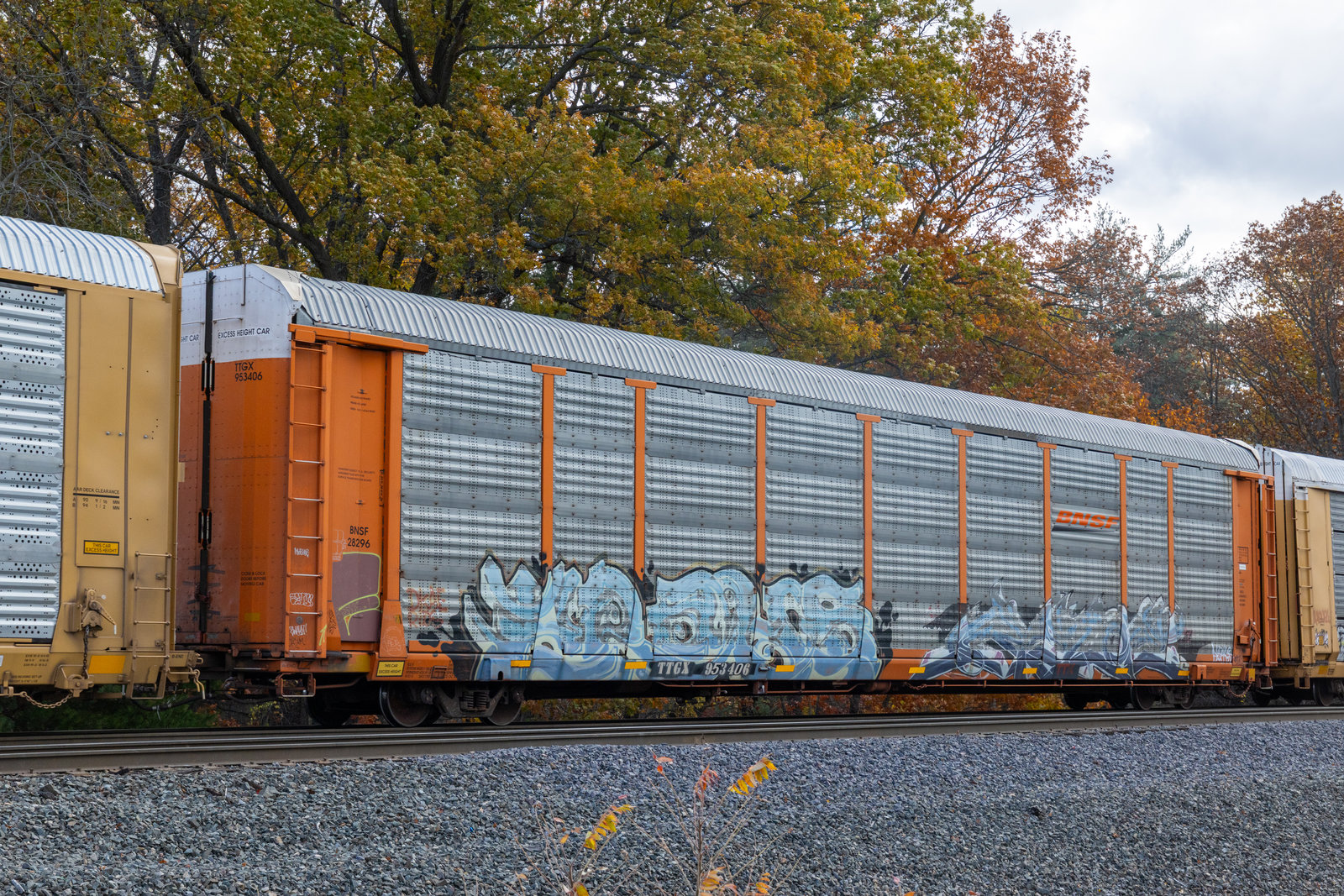 TTGX 953406