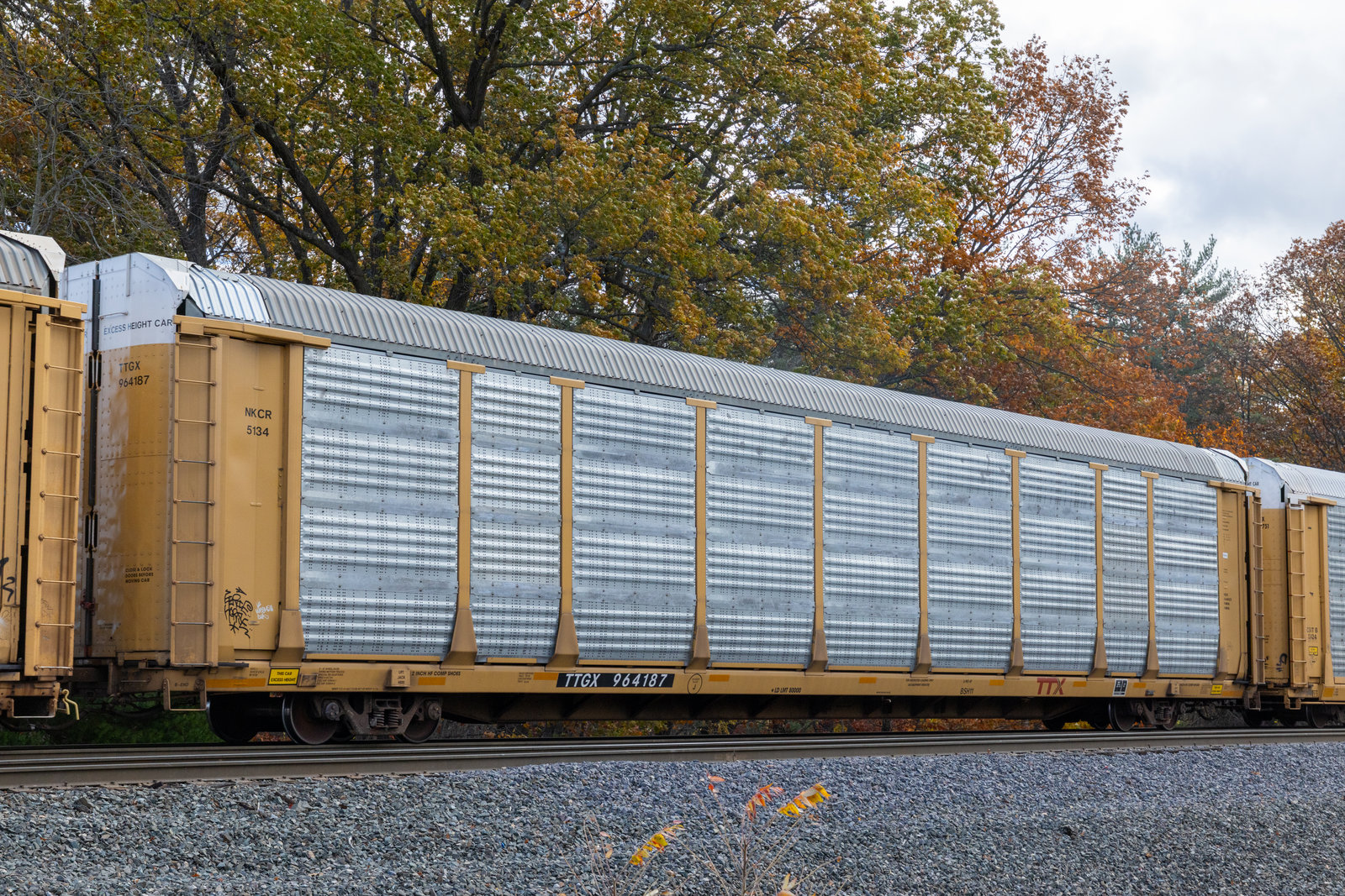 TTGX 964187