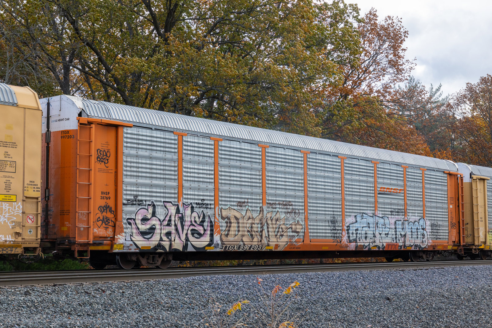 TTGX 997203