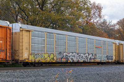 TTGX 952552