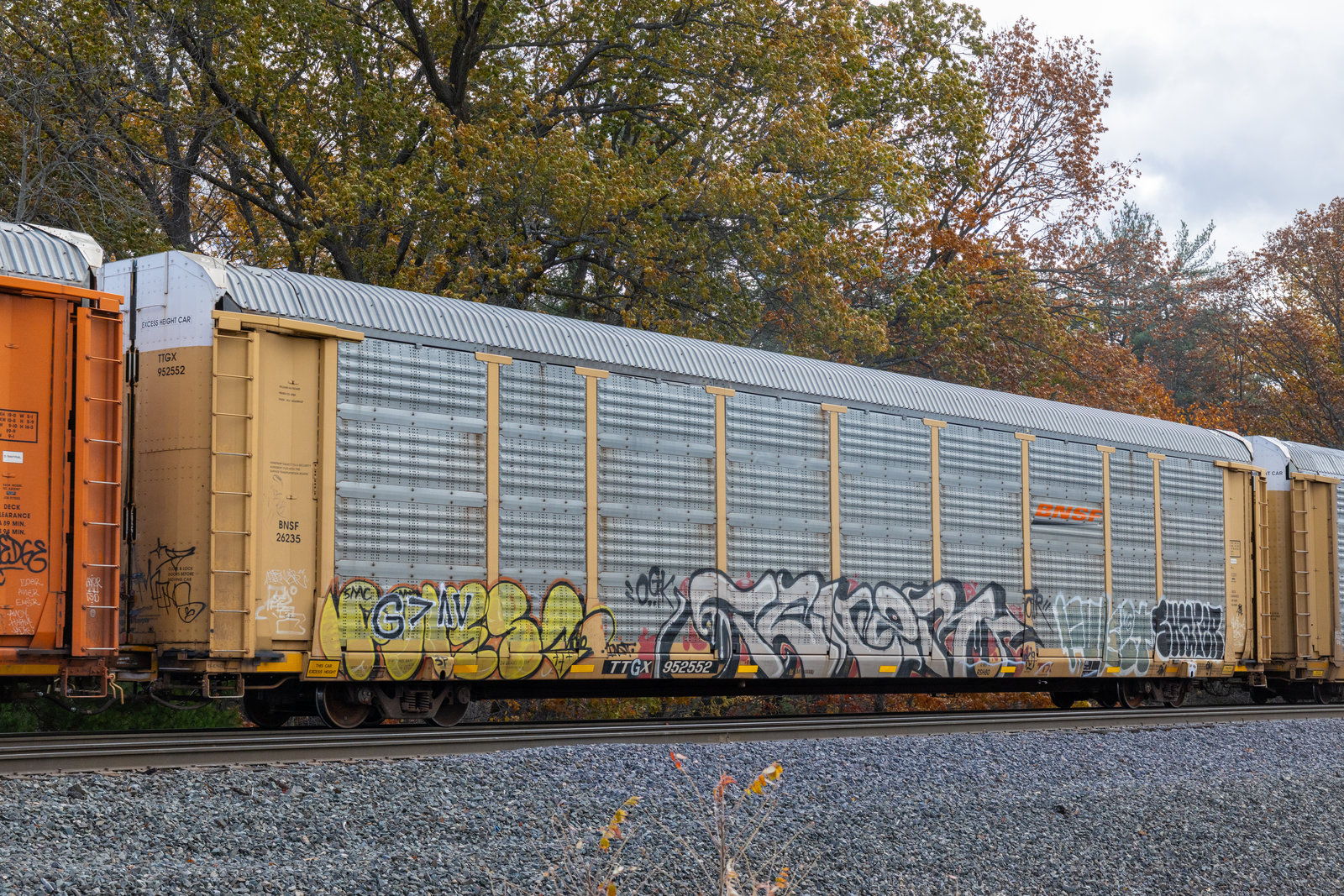 TTGX 952552