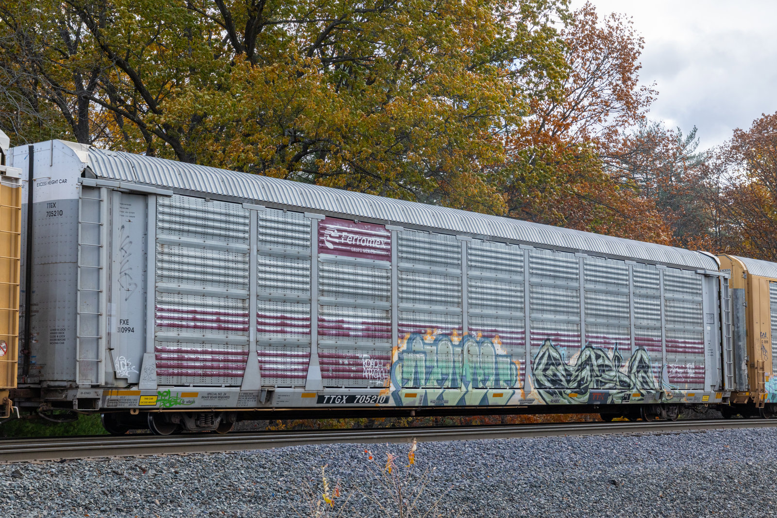TTGX 705210