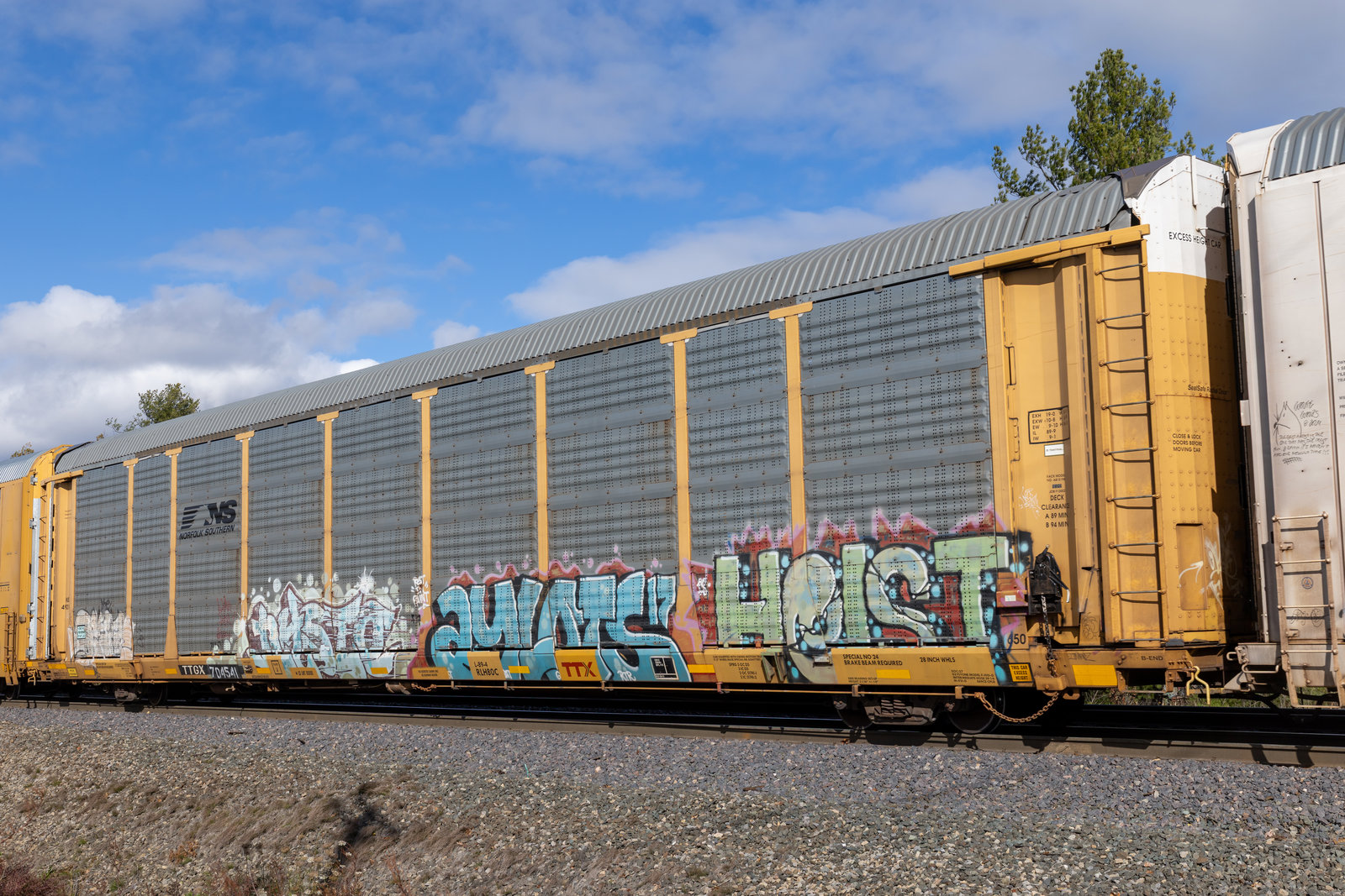 TTGX 704541