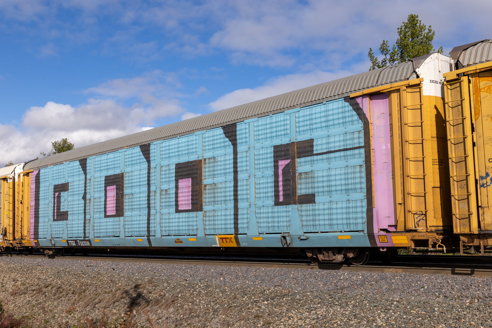 TTGX 702339