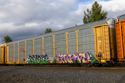 TTGX 706374