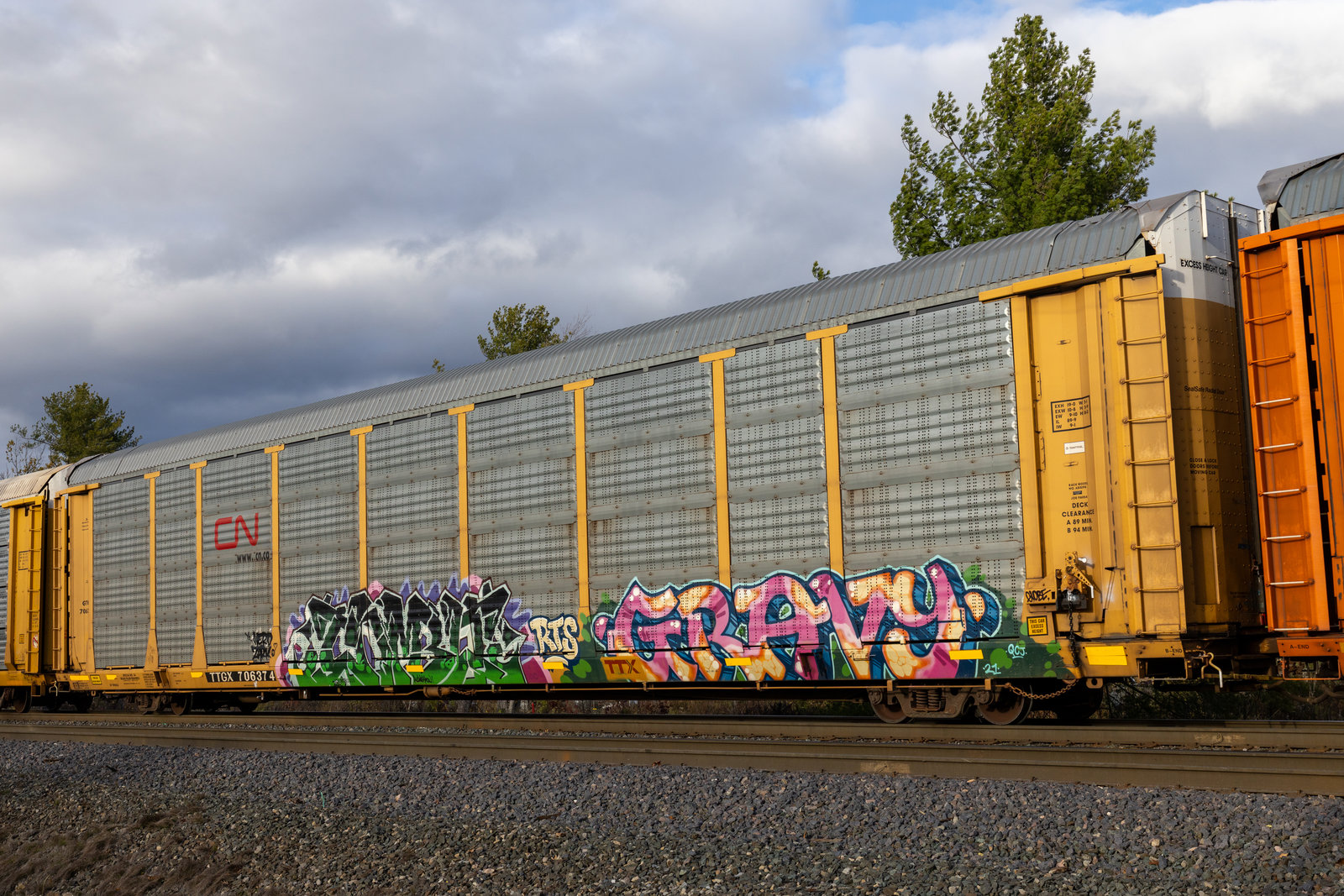 TTGX 706374