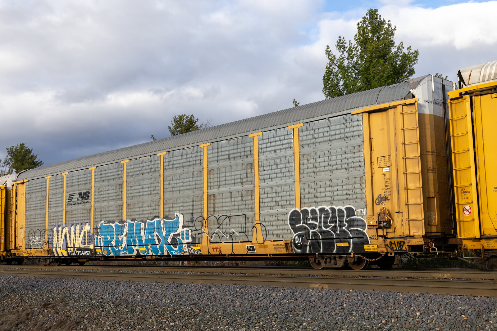 TTGX 704897