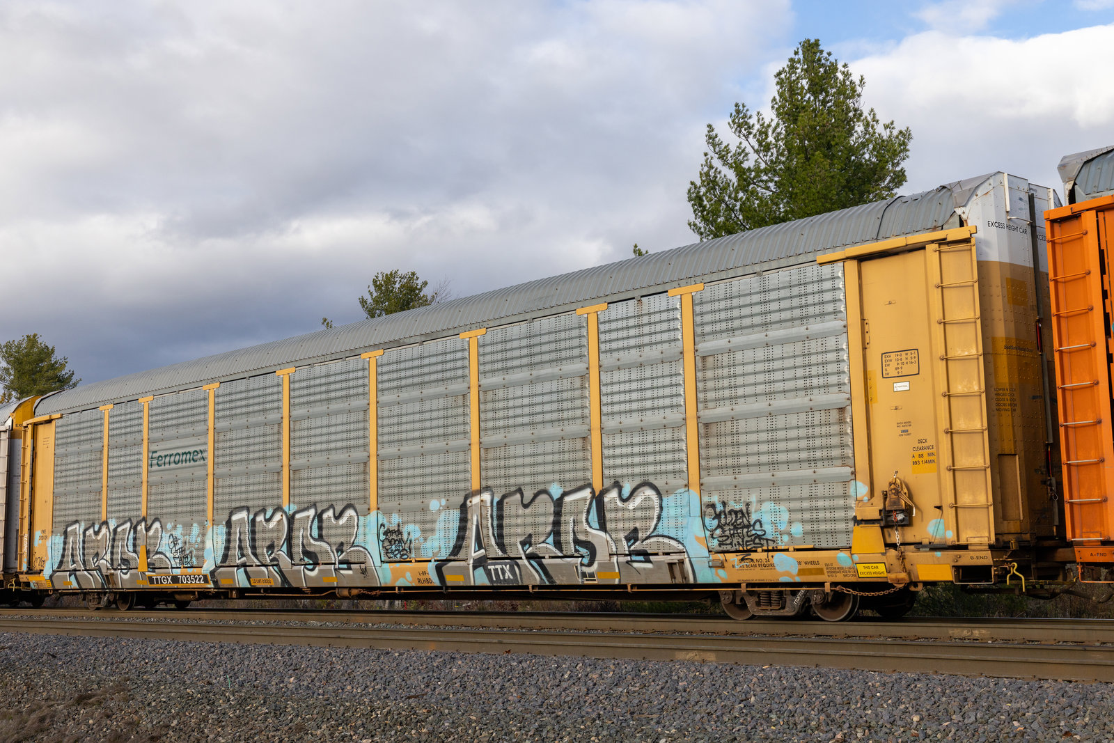 TTGX 703522