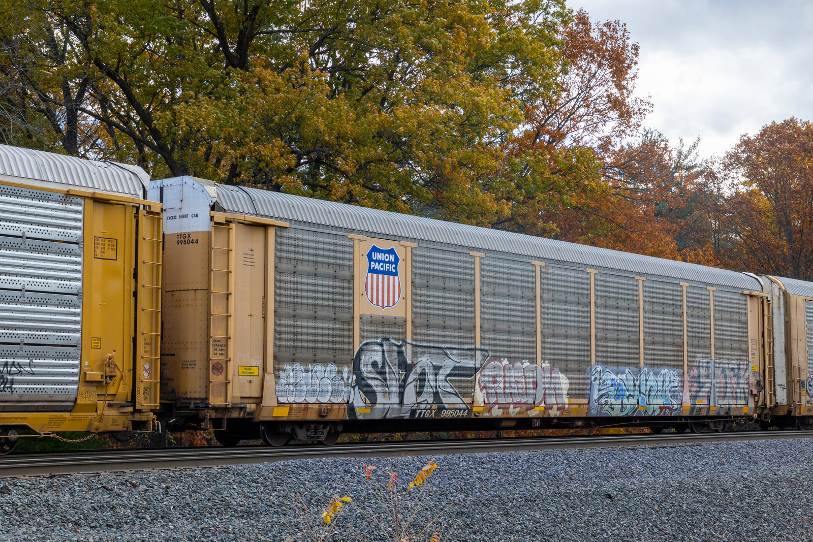 TTGX 995044