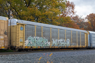 TTGX 987163