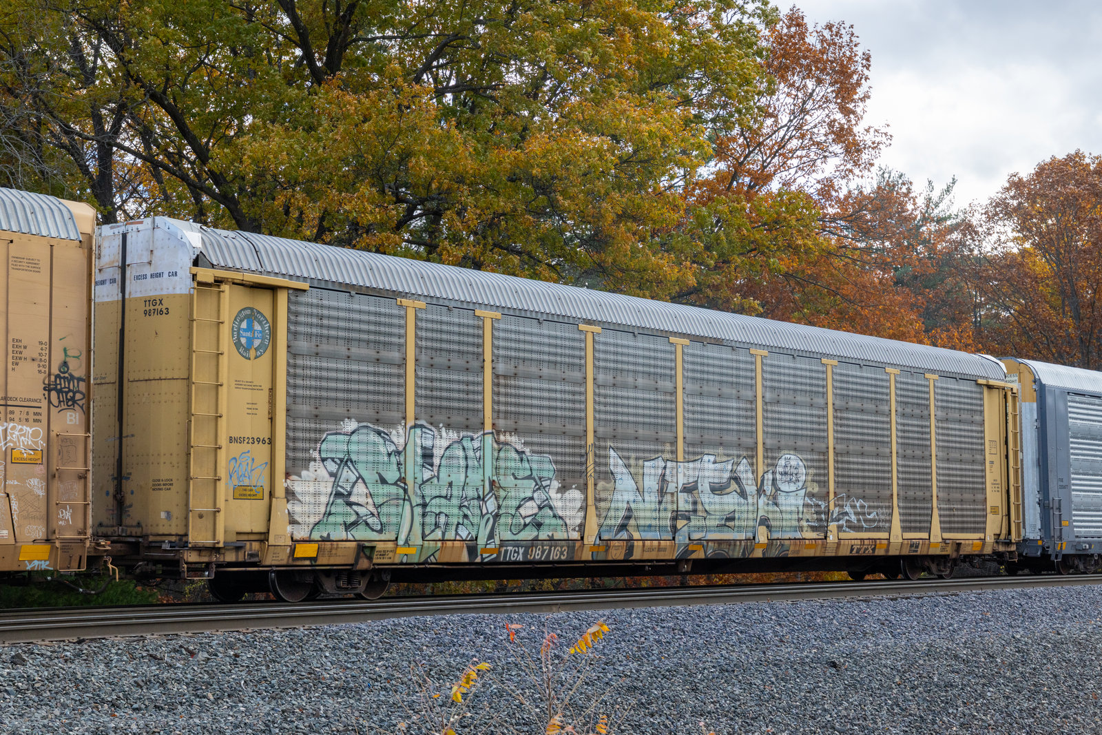 TTGX 987163