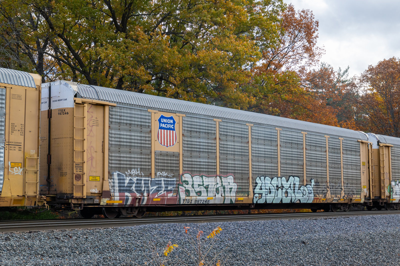 TTGX 987246