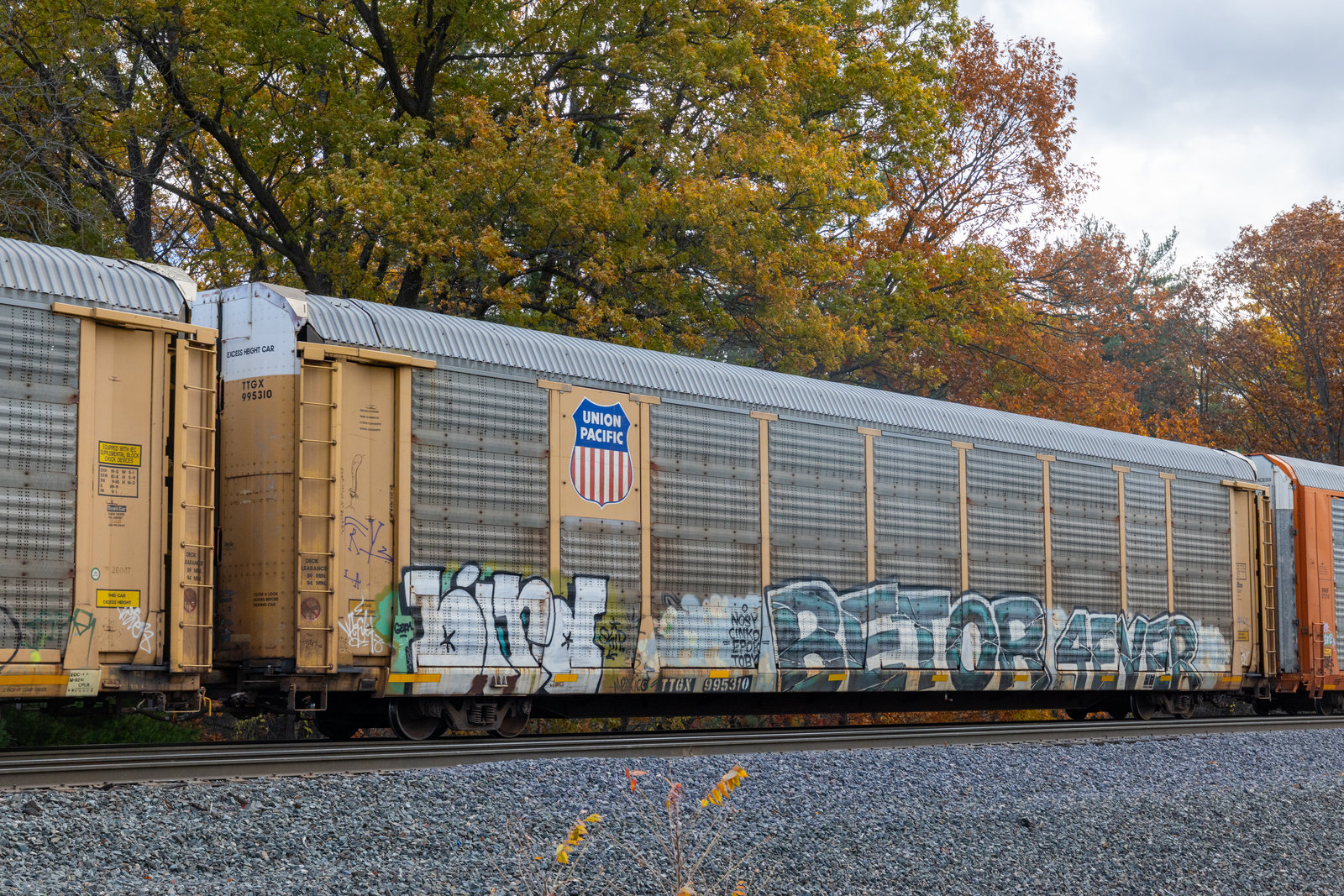 TTGX 995310