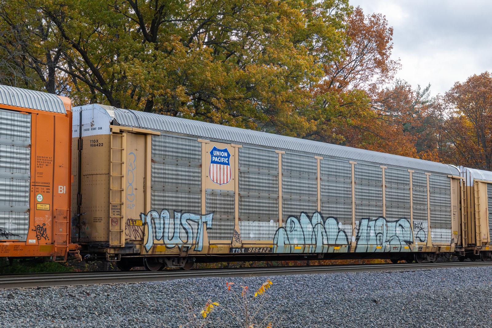 TTGX 986422