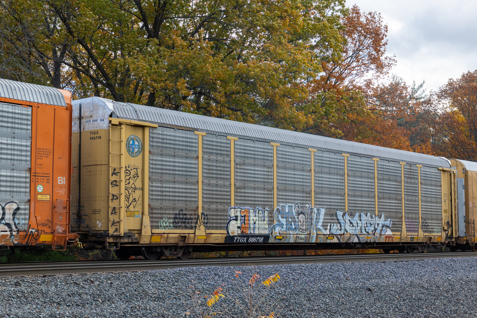 TTGX 986718