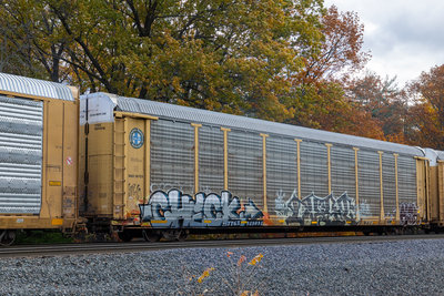 TTGX 989098