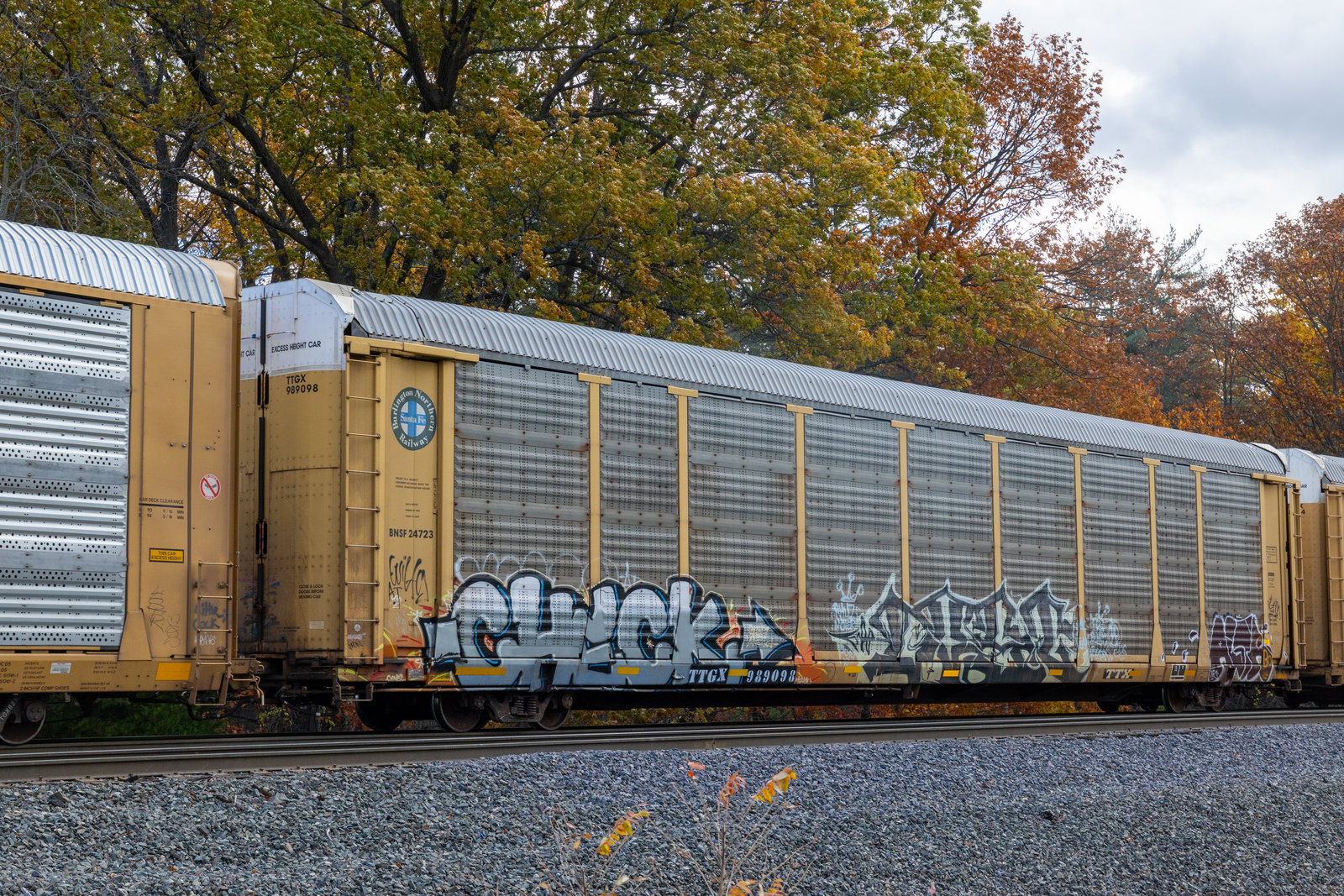 TTGX 989098