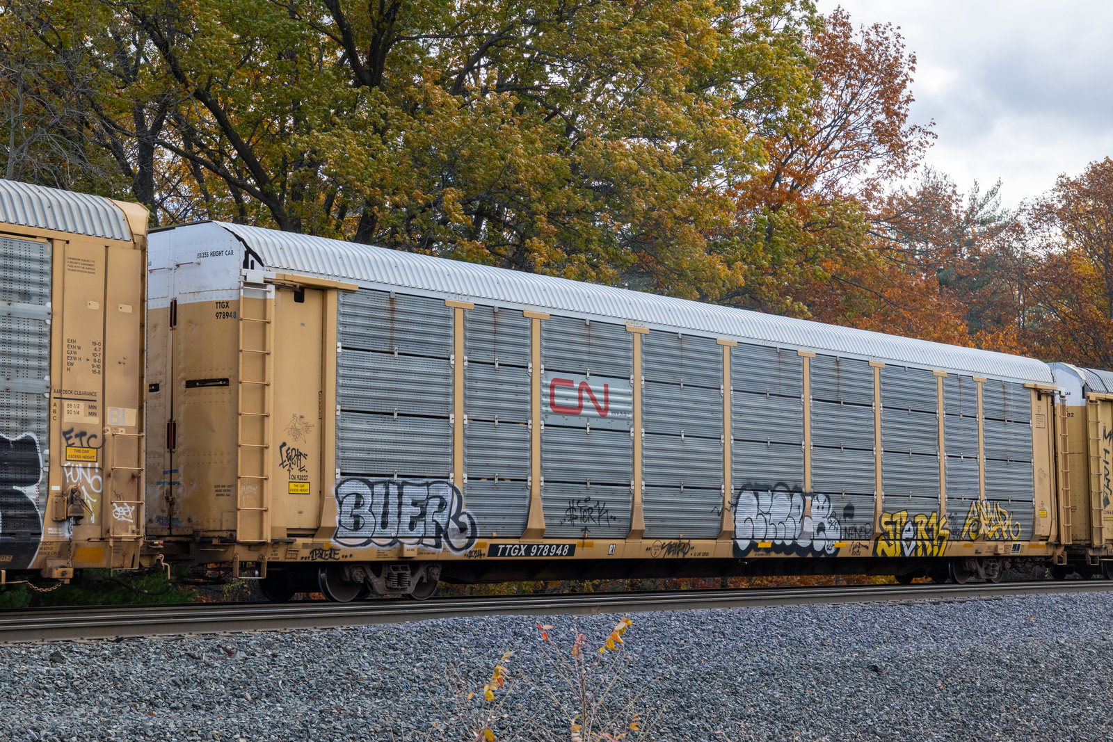 TTGX 978948