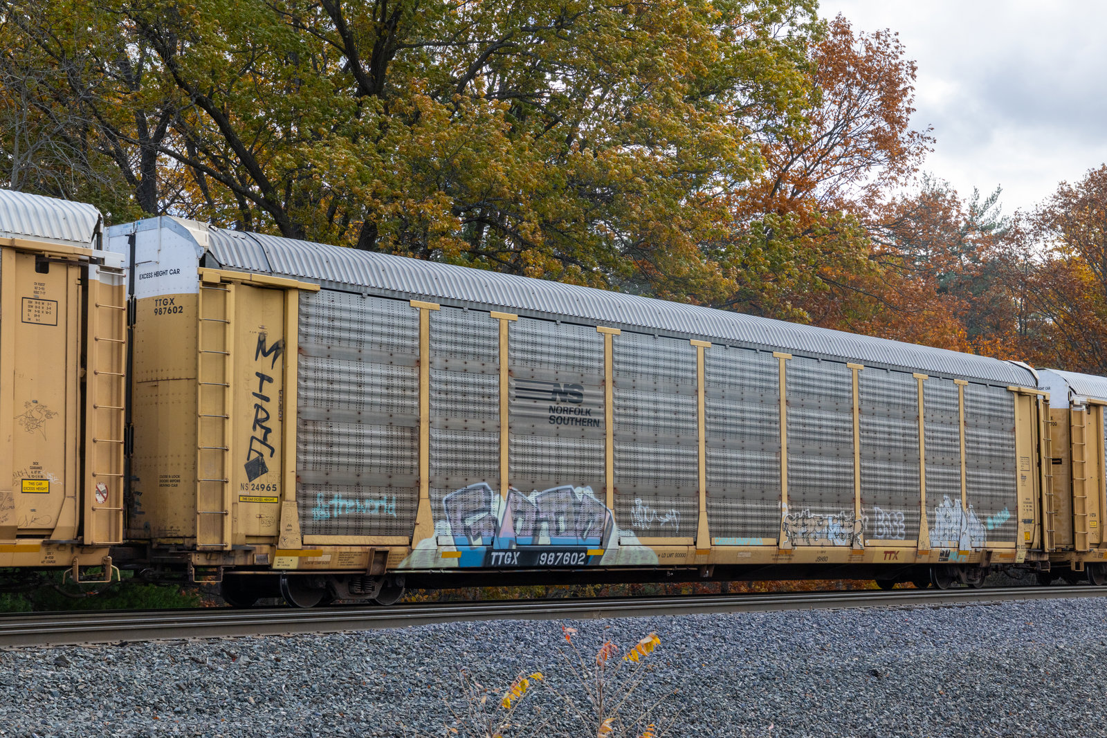 TTGX 987602