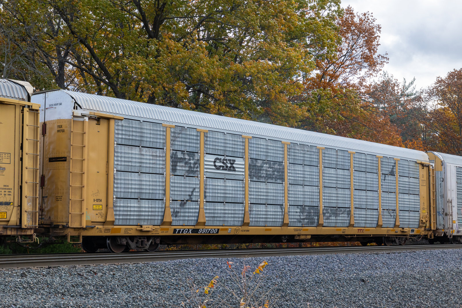 TTGX 991700