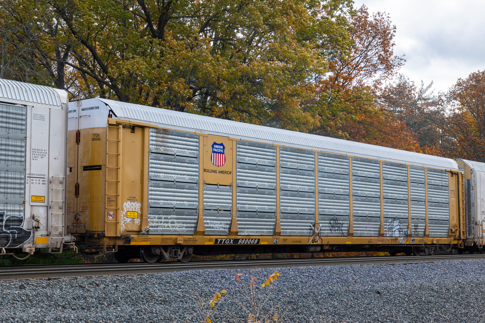 TTGX 980069