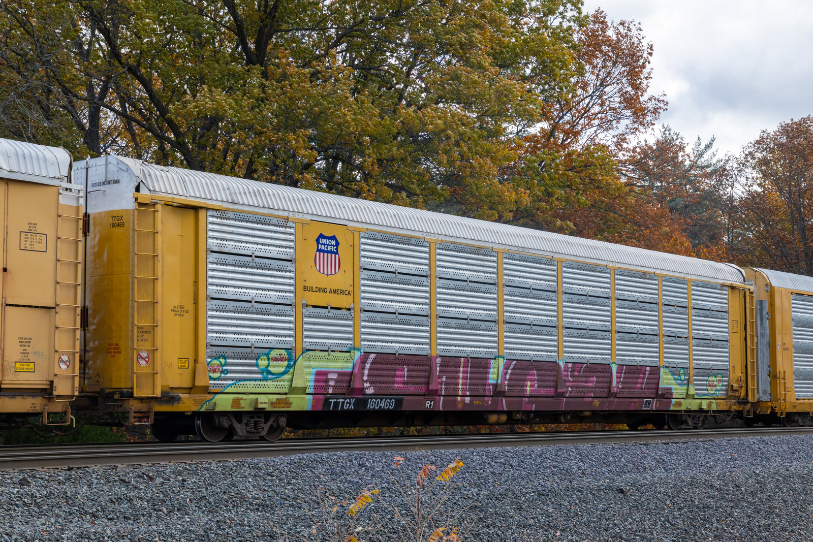 TTGX 160469