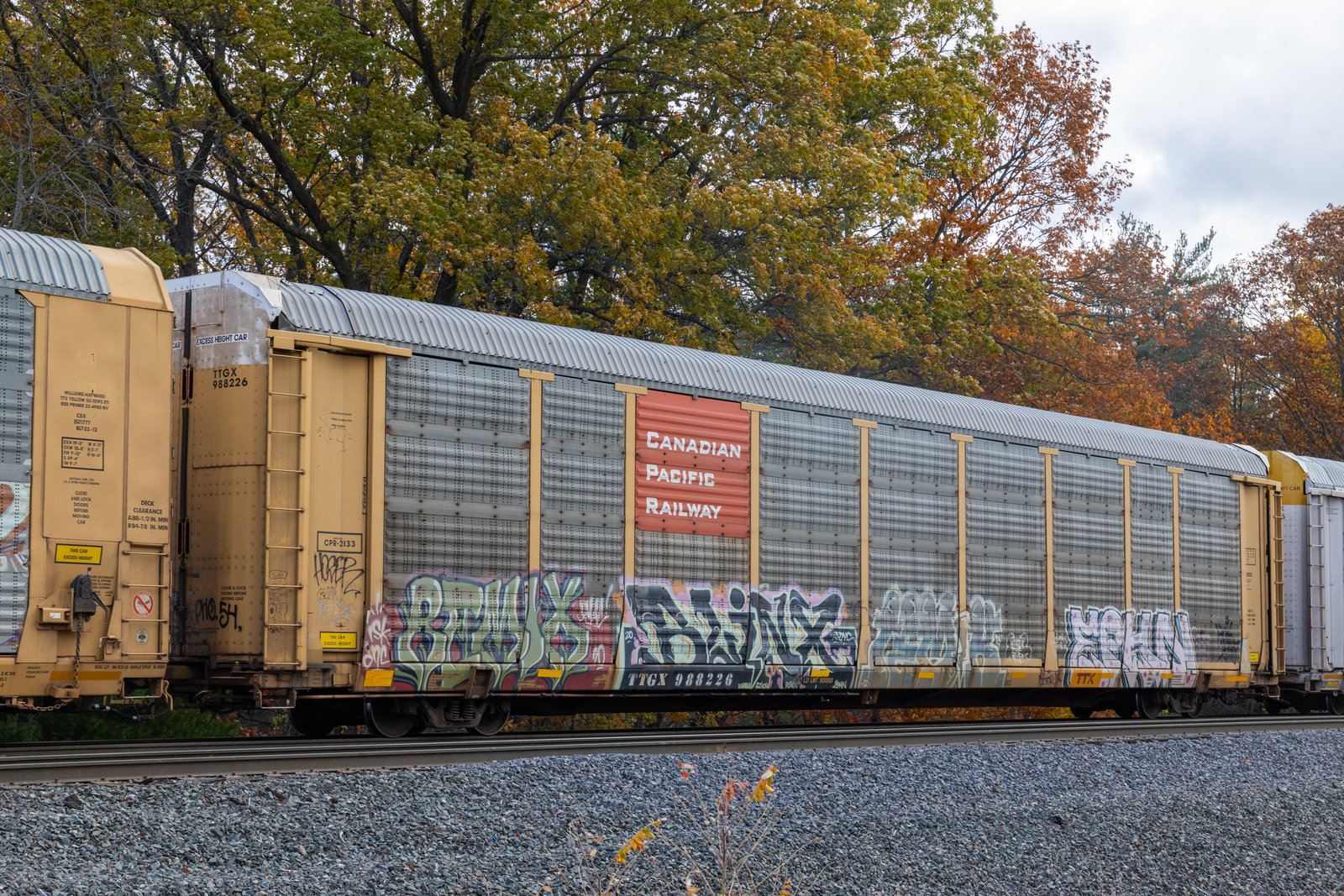 TTGX 988226