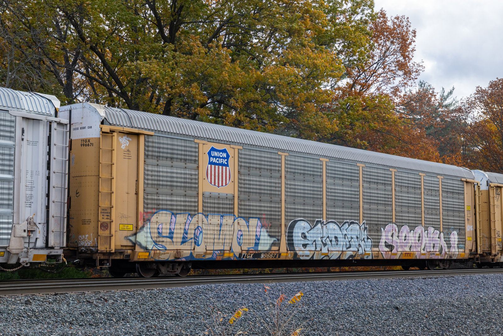 TTGX 996671