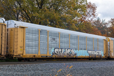 TTGX 987751