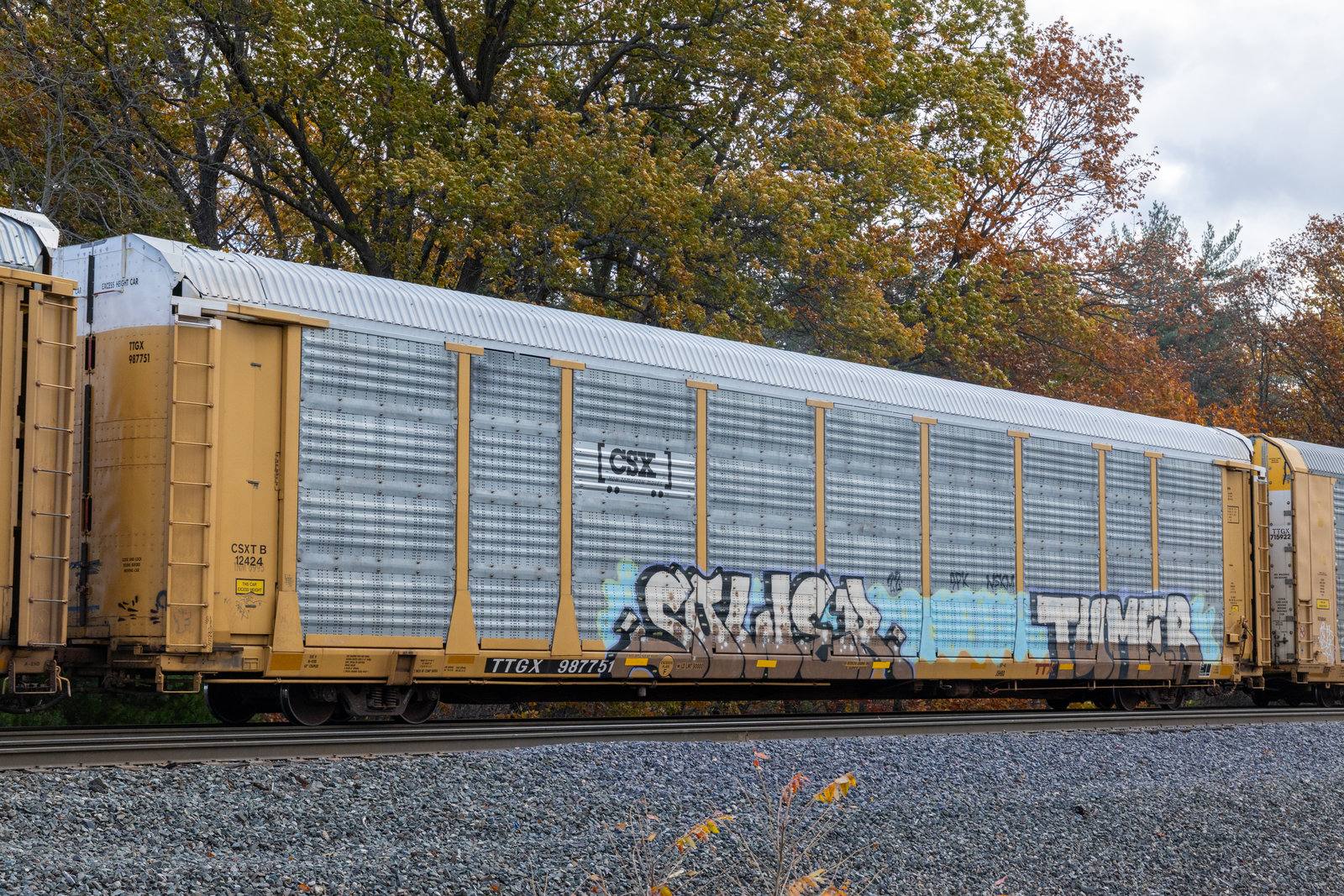 TTGX 987751