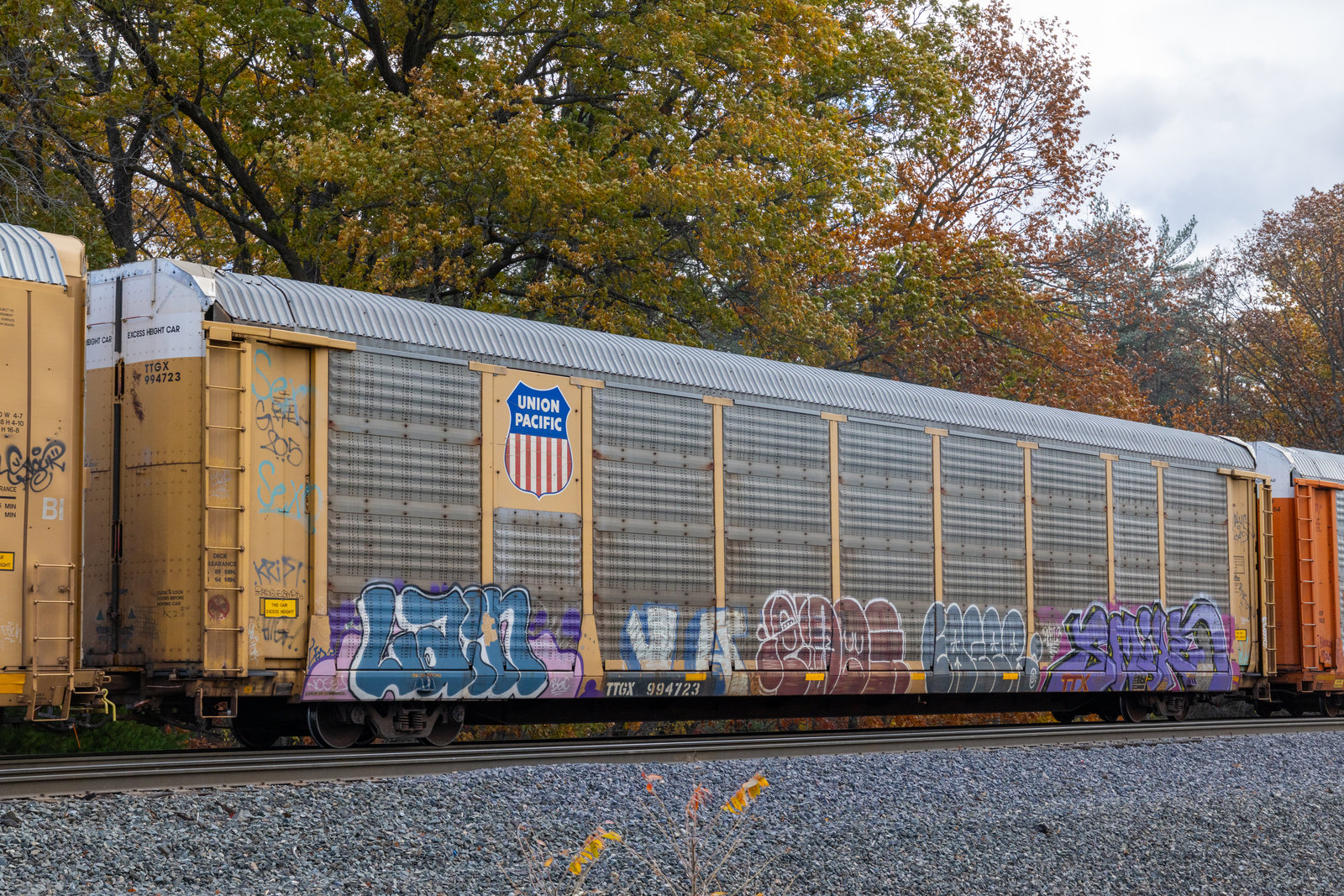 TTGX 994723