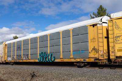TTGX 160272