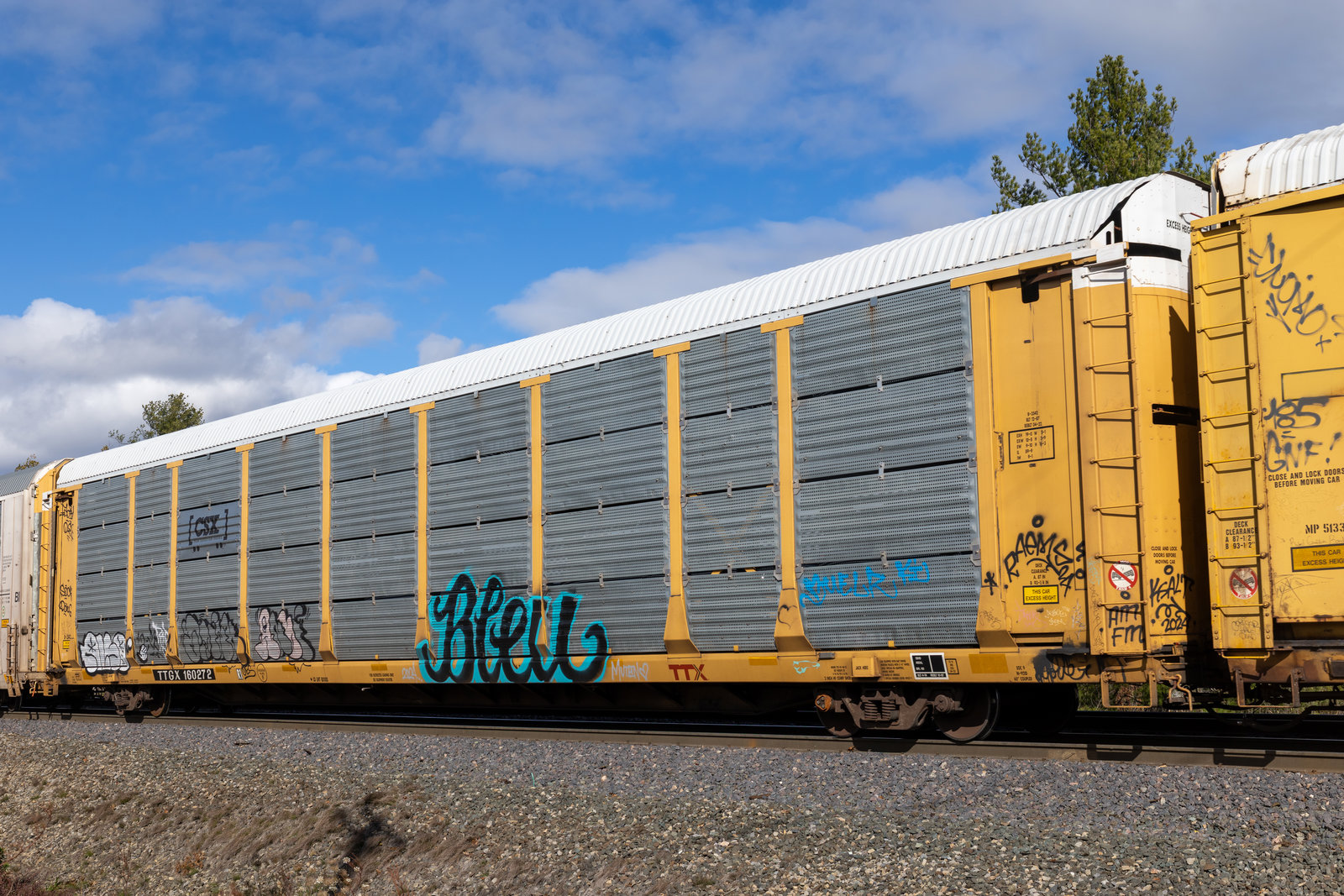 TTGX 160272