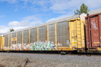 TTGX 994533