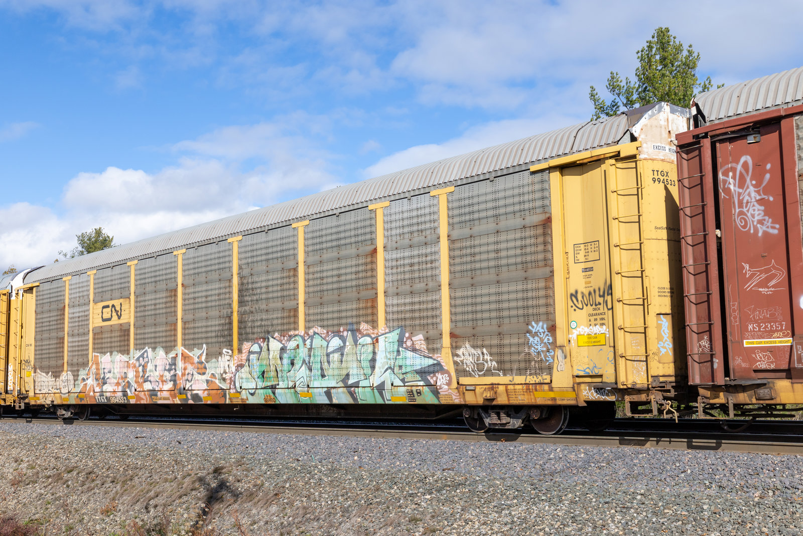 TTGX 994533