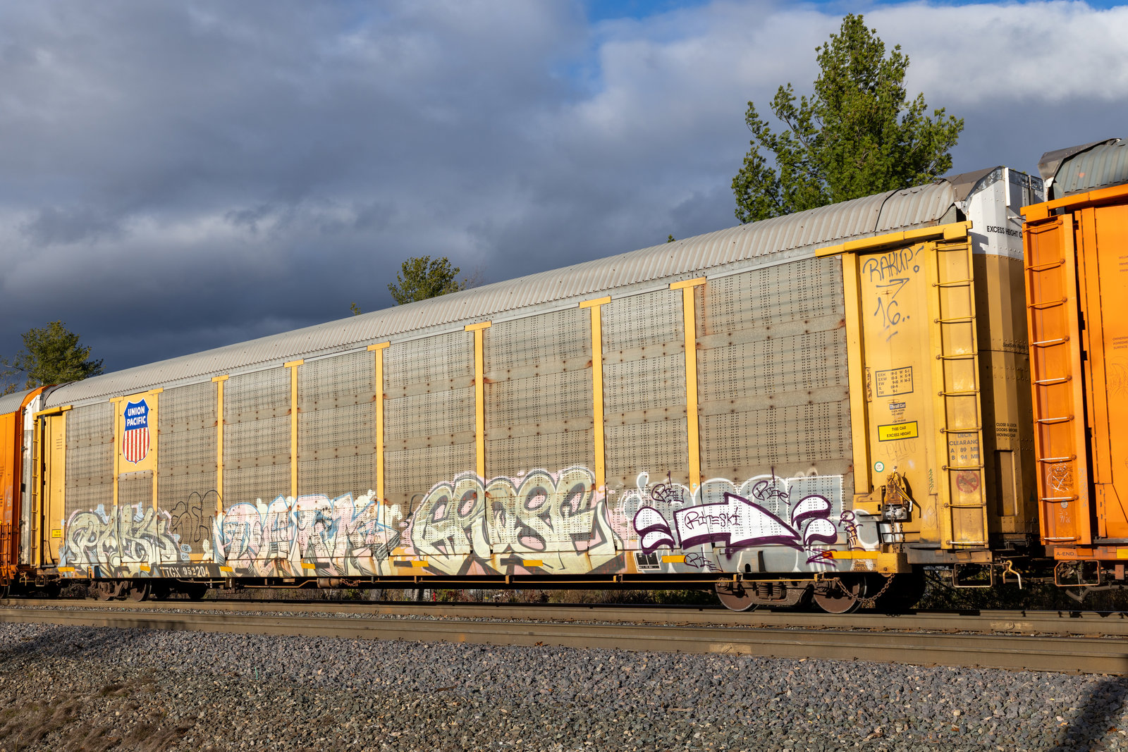 TTGX 952204
