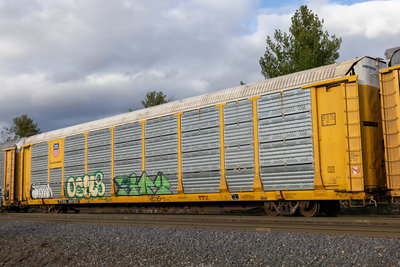 TTGX 981923