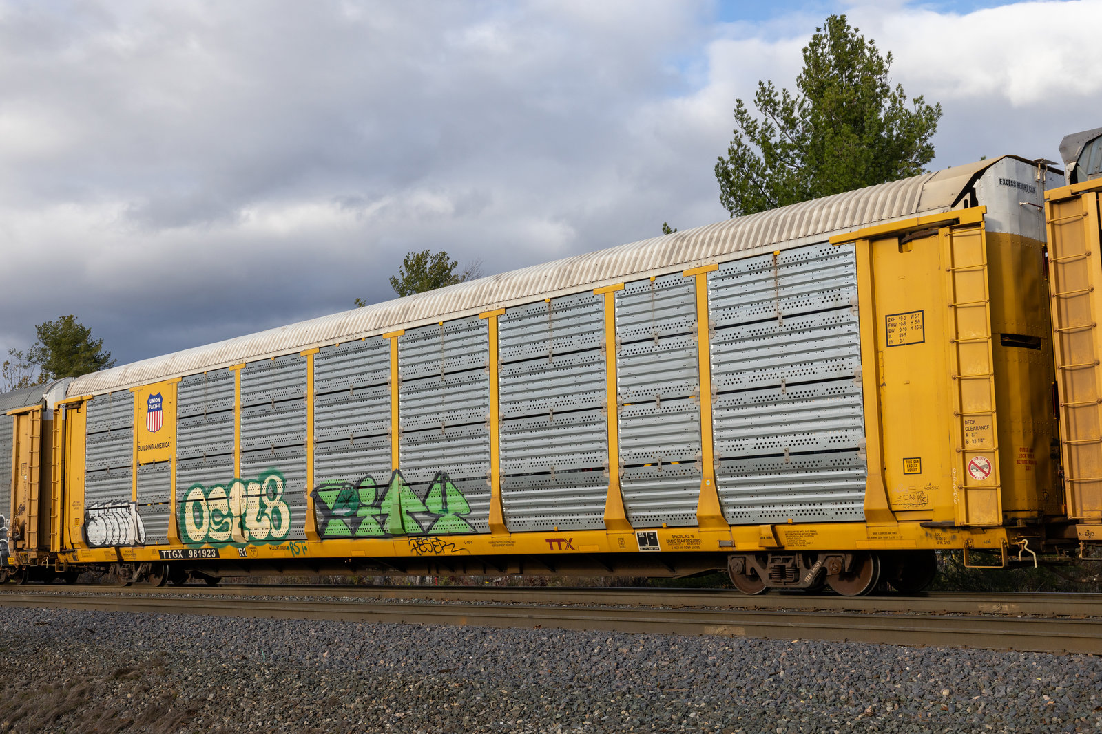 TTGX 981923