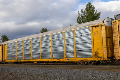 TTGX 980351